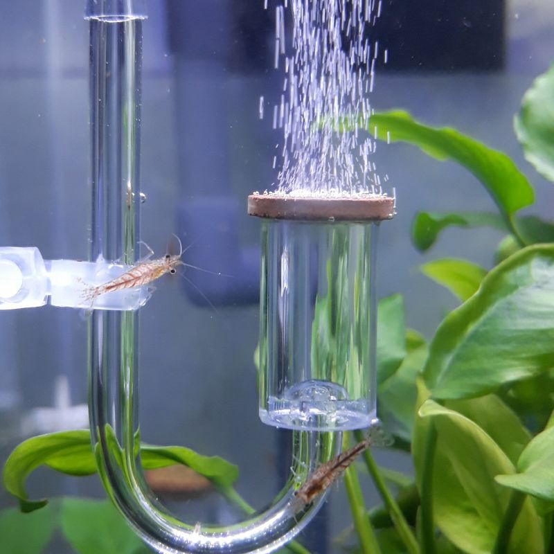 Diffuser co2 diy dan tabung