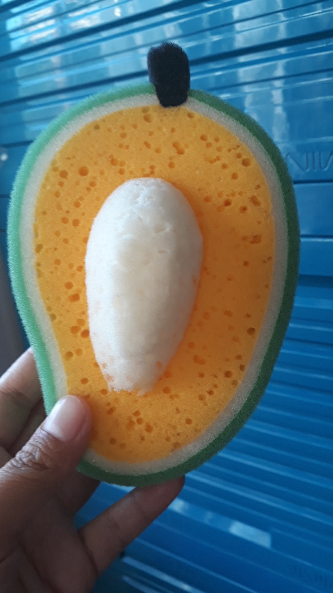 Spons Mandi / Bath Sponge Fruit Series