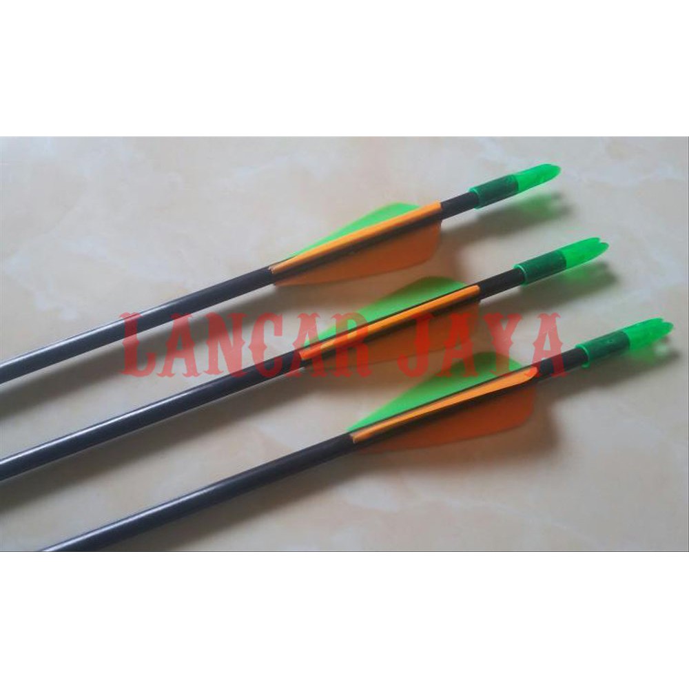 Anak Panah Arrow Fiber