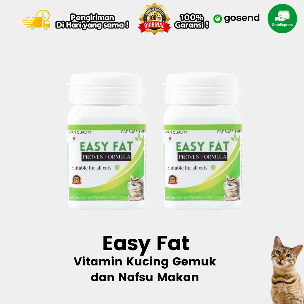 Vitamin Nafsu Makan Penggemuk Easy Fat