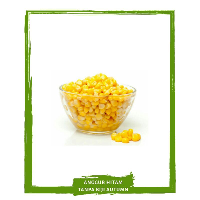 Jagung Manis Pipil Frozen / Sayur Sayuran Segar On Mallahrizwa