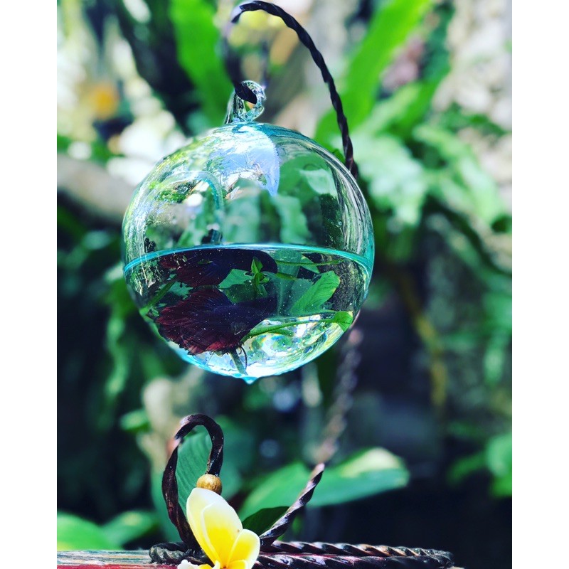 AQUARIUM TIUP/KACA/BESI/15CM