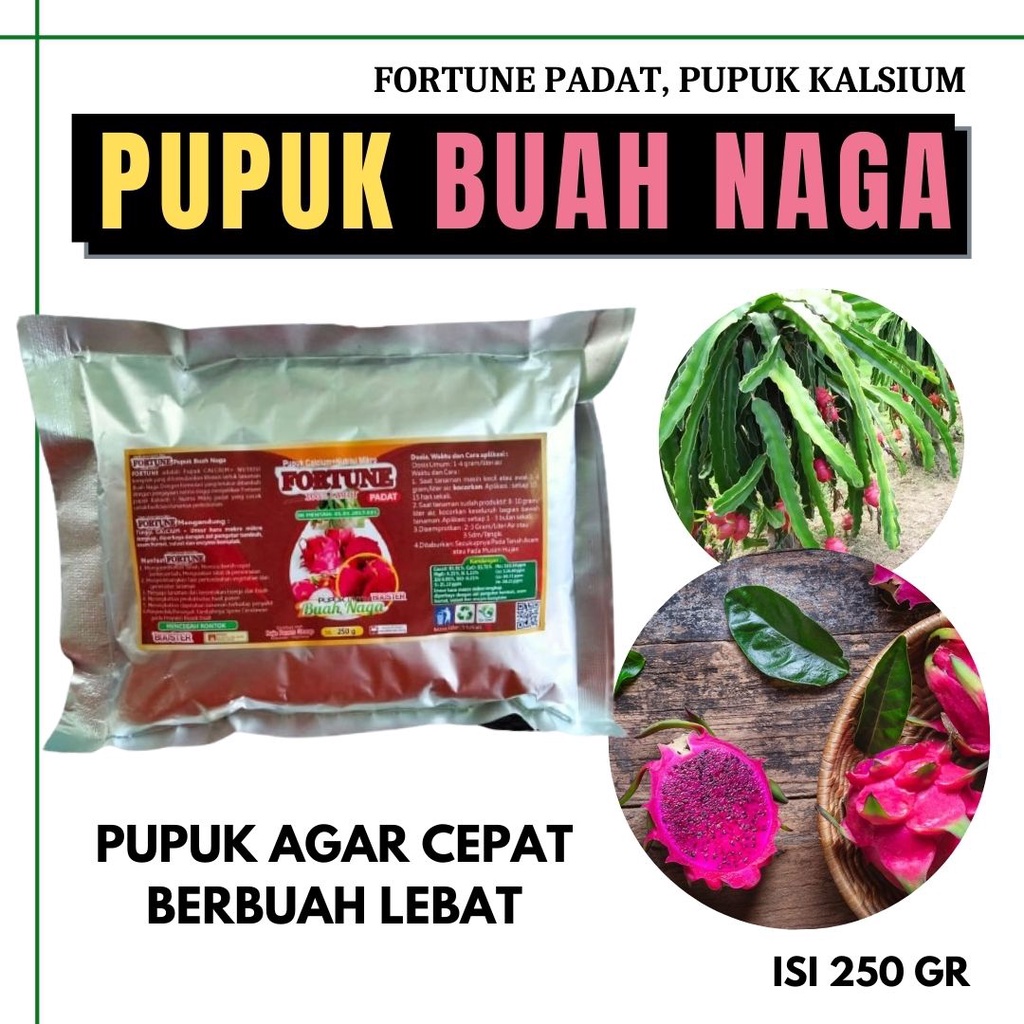 Pupuk Pelebat Buah Naga Merah Besar Manis Anti Rontok, Booster Buah Naga Organik