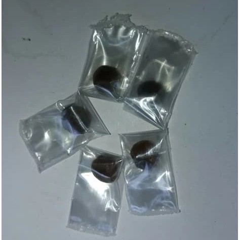 Getah Inggu 5 Butir / Obat Vertigo Sakit Kepala Demam