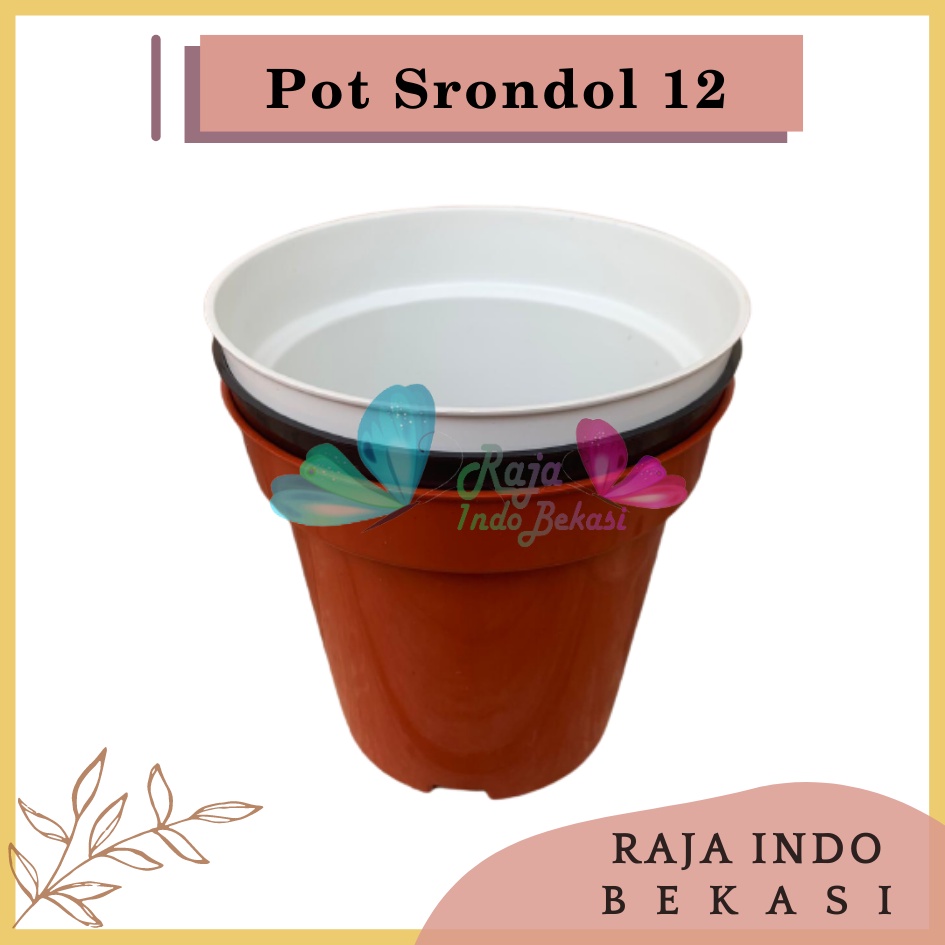 Pot Tinggi Srondol 12 Putih Hitam Merah BataTerracota Coklat - Pot Tinggi Usa Eiffel Effiel 18 20 25 Lusinan Pot Tinggi Tirus 15 18 20 30 35 40 50 Cm Paket murah isi 1 lusin pot bunga plastik lusinan pot tanaman Pot Bibit Besar Mini Kecil Pot Srondol