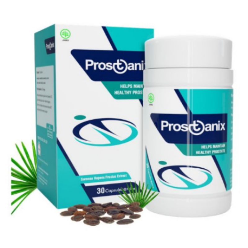 PROSTANIX HERBAL OBAT PENGUAT STAMINA PRIA BPOM RI