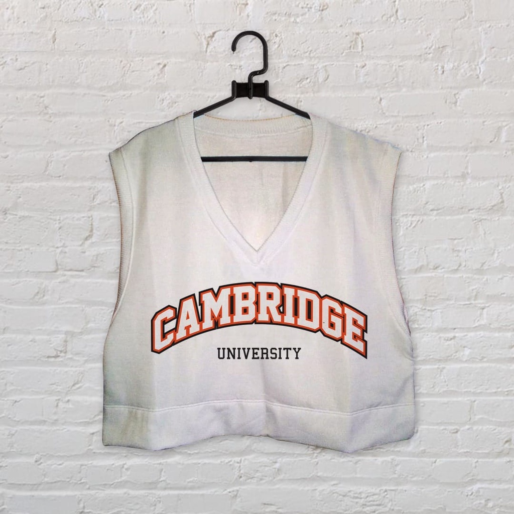 CAMBRIDGE UNIVERSITY HOODIE PRIA KEKINIAN / HOODIE PRIA TEBAL