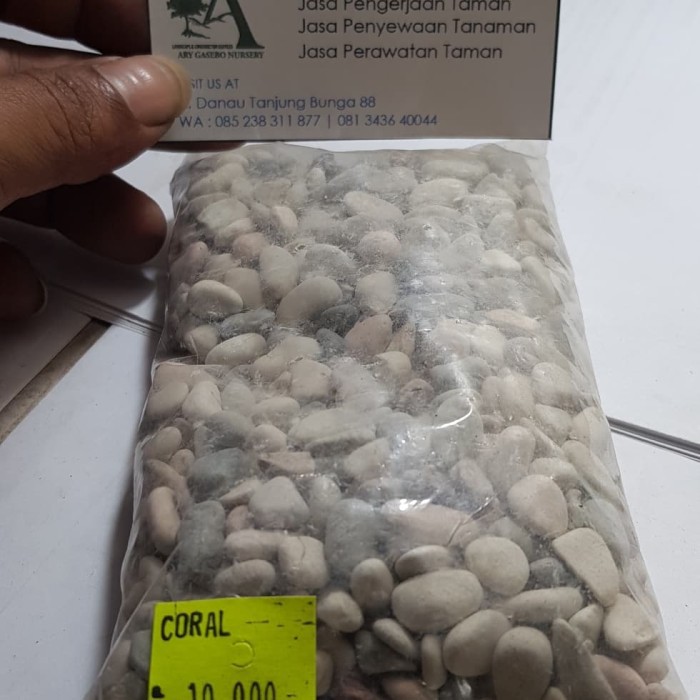 Batu coral panca warna | batu hiasan taman