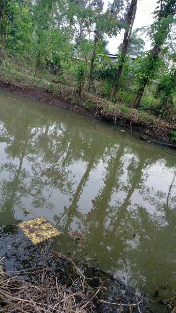 Mata Kunci Sok 10mm Masutoyo / Socket 10mm / Kunci Shok 10mm