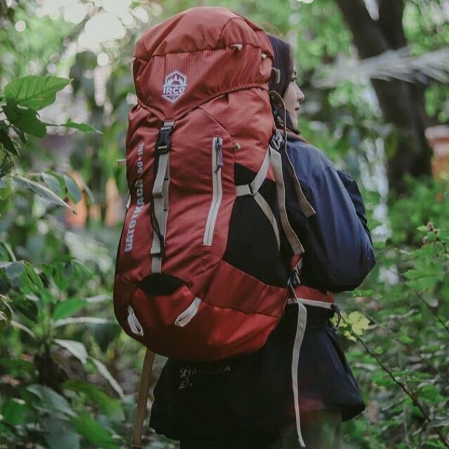 Tas Carrier Gunung 50L - Ransel Hiking Trekking - Outdoor Backpack / Daypack - Free Rain Cover