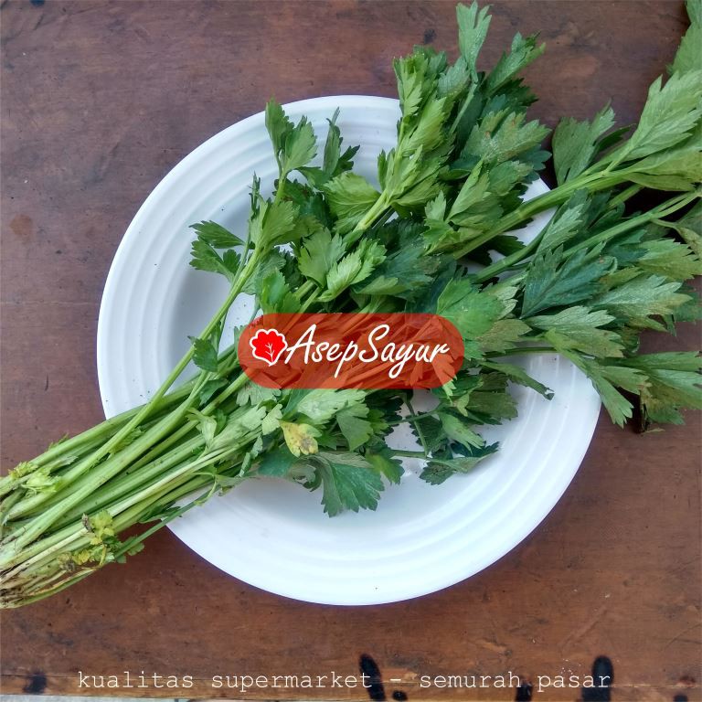 

SELEDRI DAUN SOP 100 - 250 gr ASEPSAYUR BANDUNG