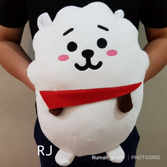 Boneka karakter BT21 terbaru murah lucu hadiah anak anak