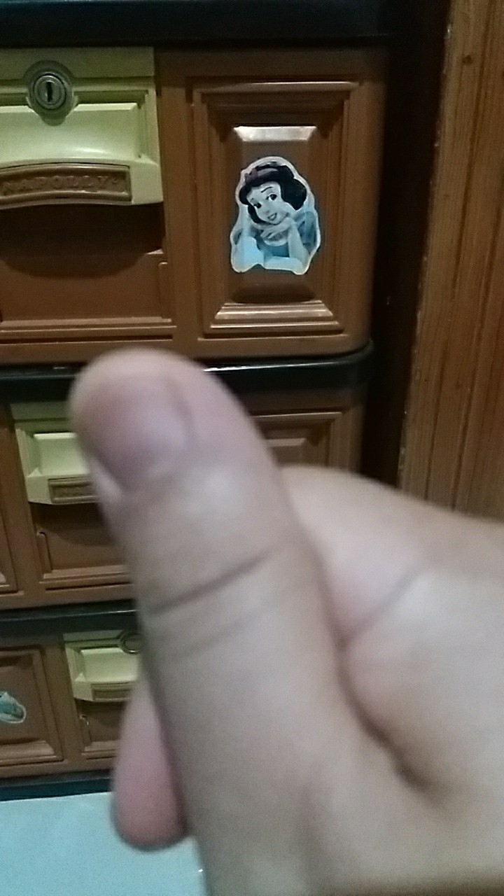 Sticker Kaca / Stiker Kaca Jendela Rumah Stiker Kaca Motif Stiker Jendela Kaca