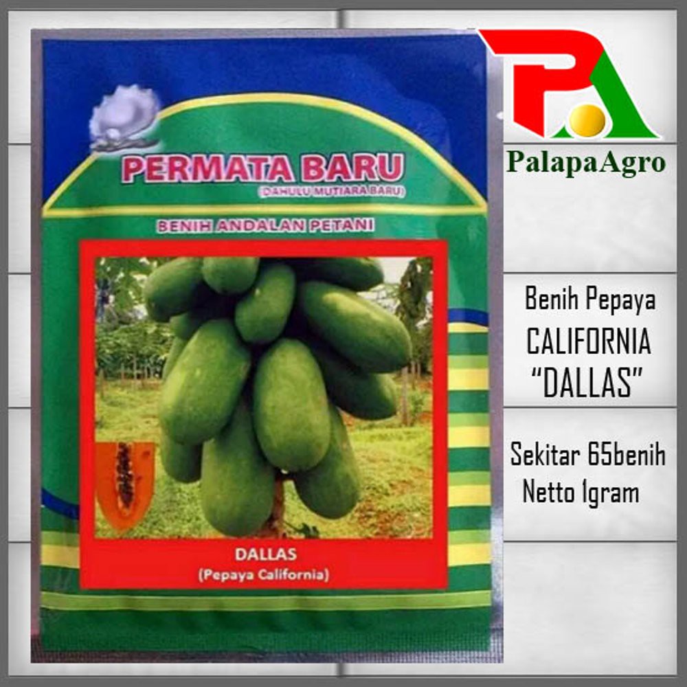 Benih PEPAYA California DALLAS-Bibit pepaya Berkualitas