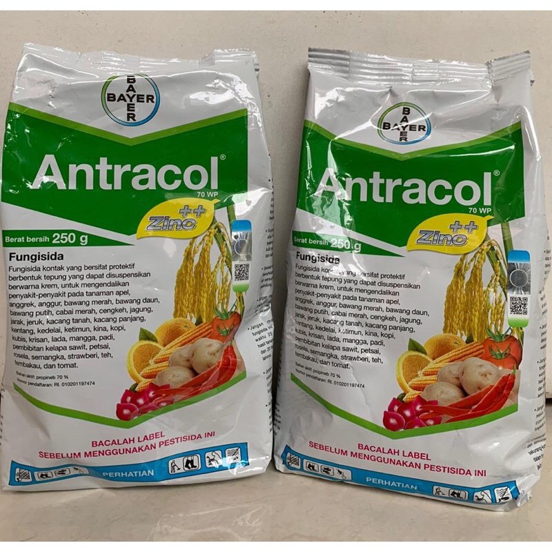 Fungisida Antracol 250 gram