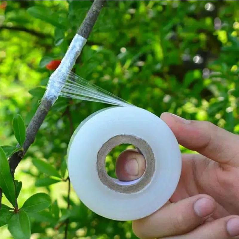 grafting tape
