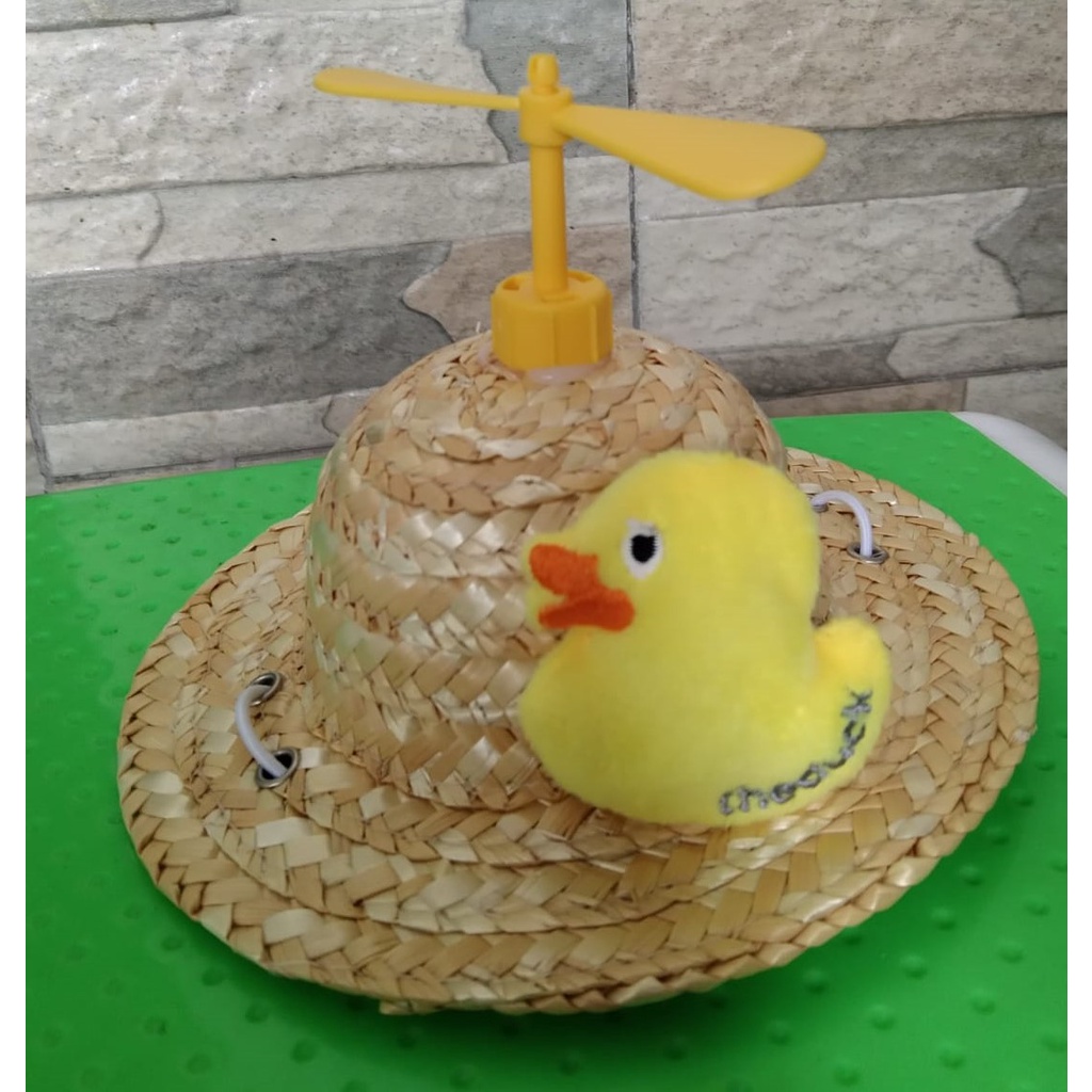Topi Kucing/Topi Anjing/Topi Kelinci/Pet Accesories/Topi Hewan/Pet Hat/Topi jerami/Little duck with 