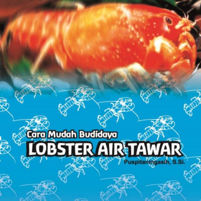 Cara Mudah Budidaya Lobster Air Tawar