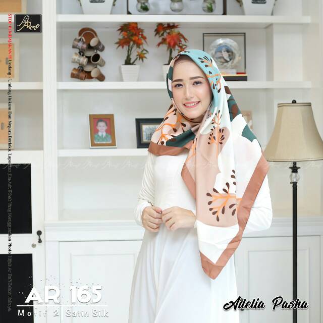 AR 165 motif 2