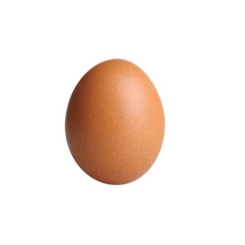 

Telur ayam fresh