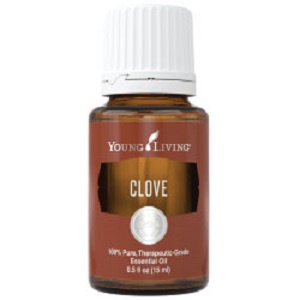 Essential Oil YL Clove 15 ml