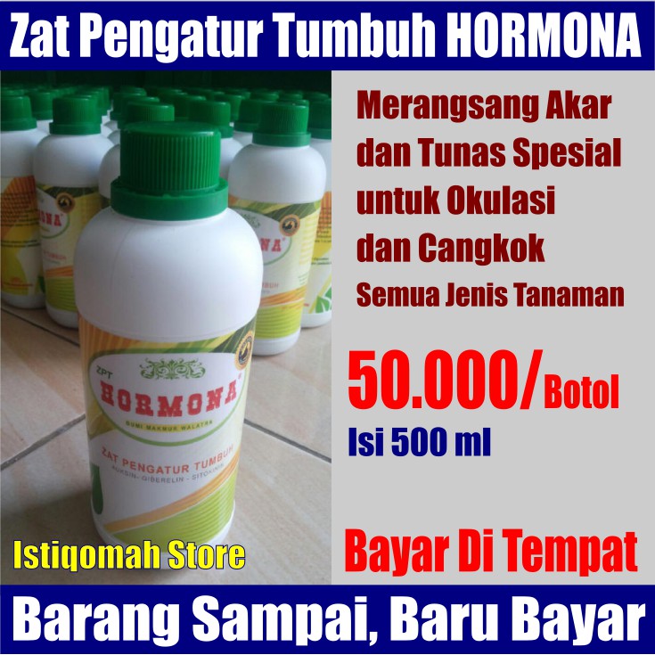 ZPT HORMONA 500ml Merangsang Akar &amp; Tunas Spesial untuk Okulasi &amp; Cangkok untuk Semua Jenis Tanaman