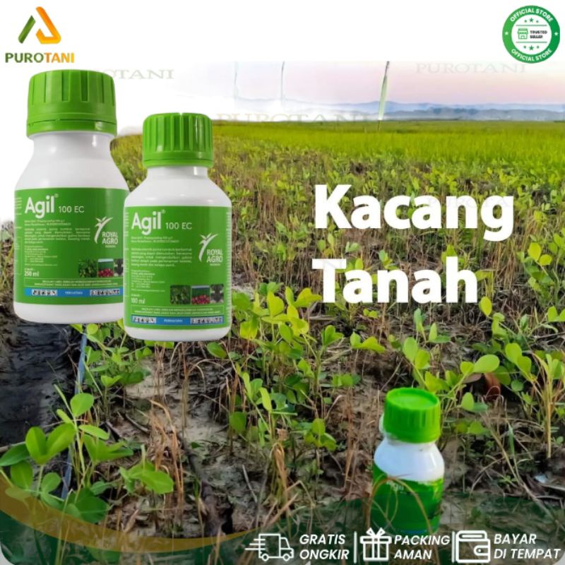 Obat rumput herbisida sistemik AGIL 100ec 100ml