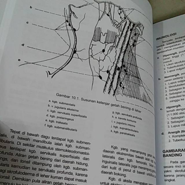 (ORIGINAL) BUKU ILMU PENYAKIT KULIT DAN KELAMIN  EDISI 7 2021 ( KULKEL UI )