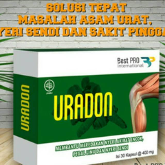 

Uradon Untuk Asam Urat Dan Nyeri Sendi Best Pro Immunotec Impro