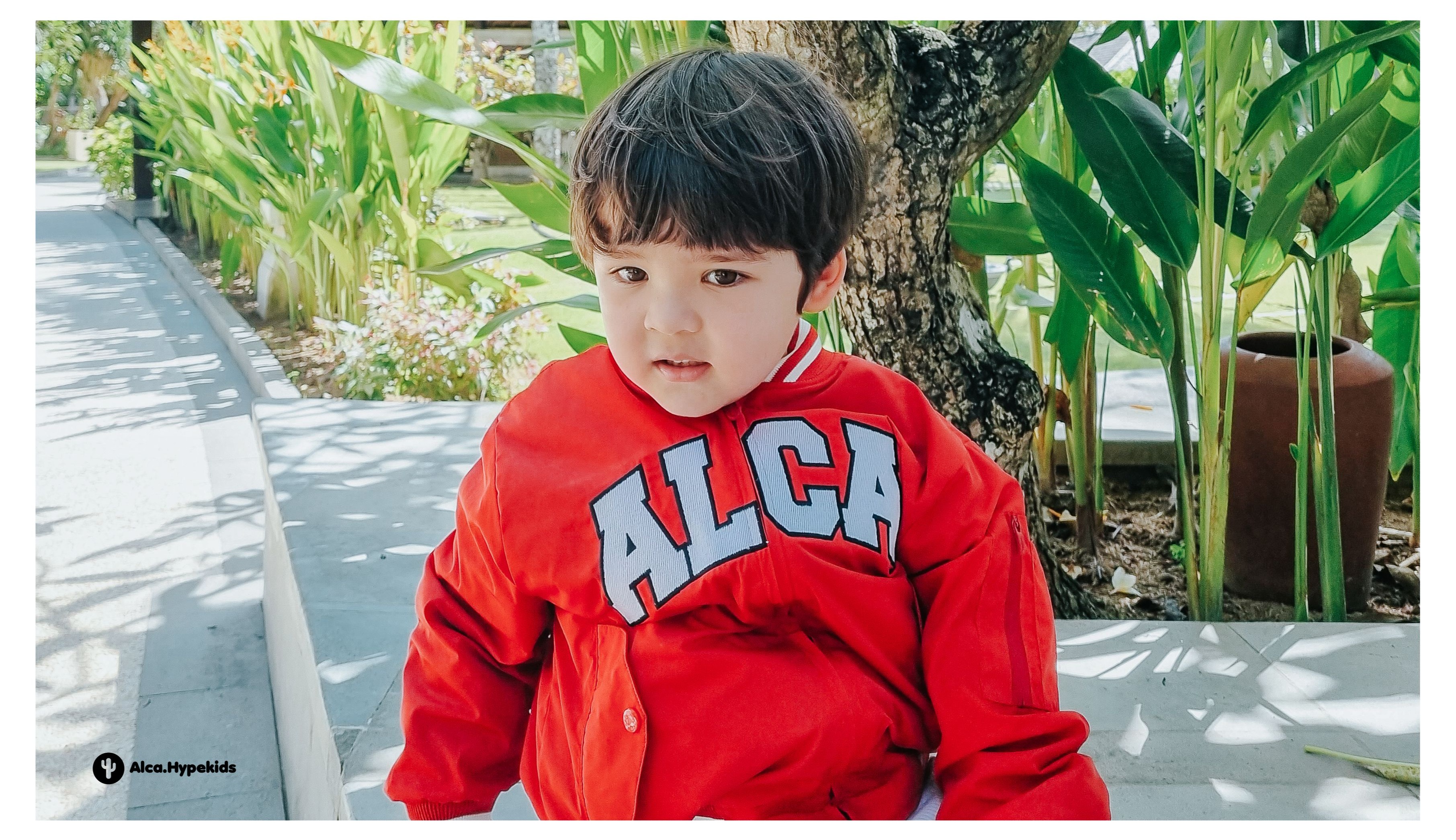 Toko Online ALCA Official Shop | Shopee Indonesia