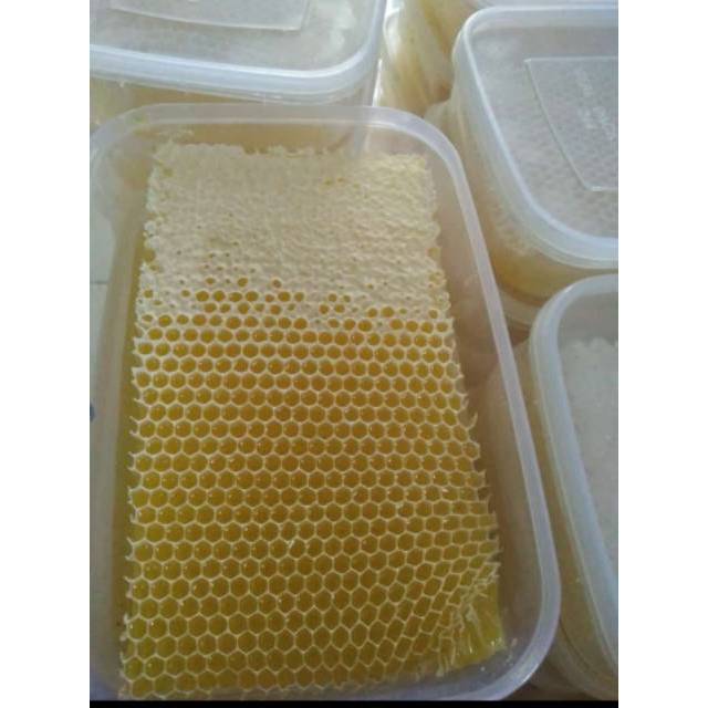 

ORIGINAL MADU SARANG MELIFERA 500GR - MADU SARANG ASLI MADU MURNI 100% - RAW HONEY HONEYCOMB PREMIUM