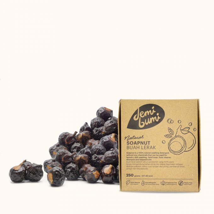 demibumi - Buah Lerak / Natural Soap Nut - 250 gram