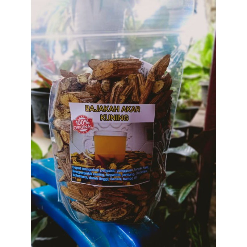 

BAJAKAH AKAR KUNINGAN 500gram