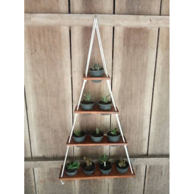 rak tanaman sukulen gantung segitiga