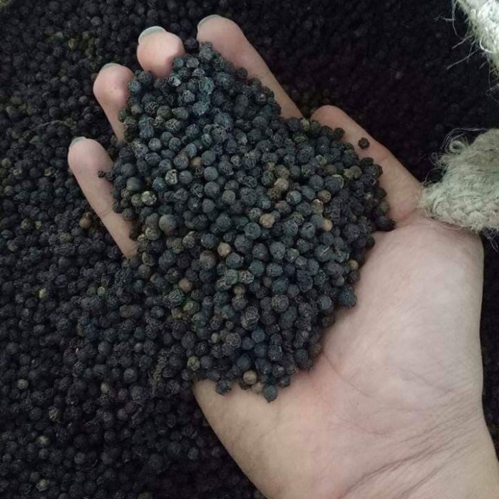 

Lada Hitam / Mrica Hitam Utuh Kering 500 g (1/2 kg) / black pepper whole Asli Kualitas Bagus