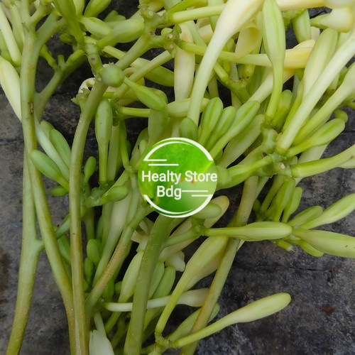 

Bunga pepaya jantan per 500 gram