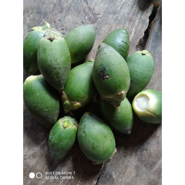 

Buah Pinang Muda /Jambe Muda 500 gram Untuk Mengatasi Masuk Angin.