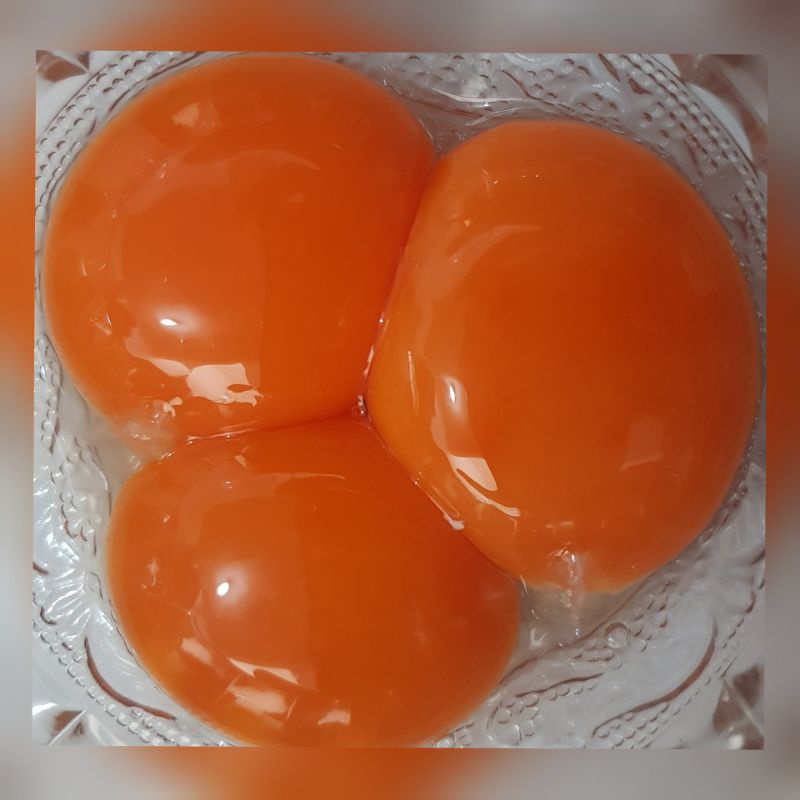 

Telur Omega Bandung