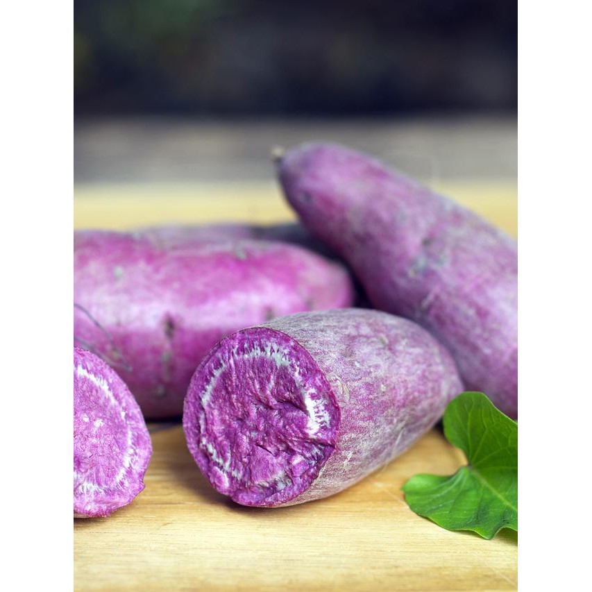 

LAKU Bubuk Ubi Taro gr Pure EFE Essence Flavour Ekstrak 1/2 kg Taro Sweet Potato Flavor Esen Extract