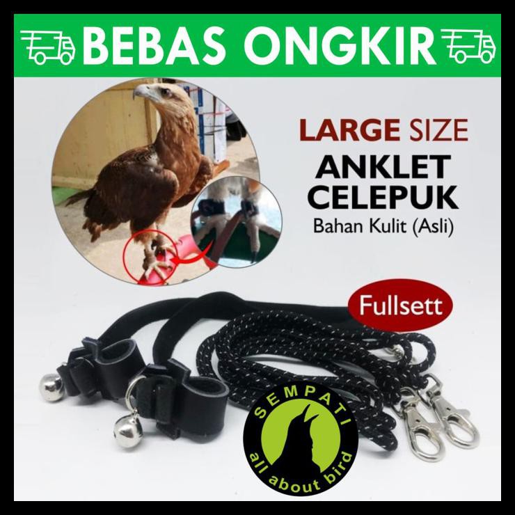 Anklet Celepuk Large Angklet Celepuk Tali Burung Elang Falconry Angsel