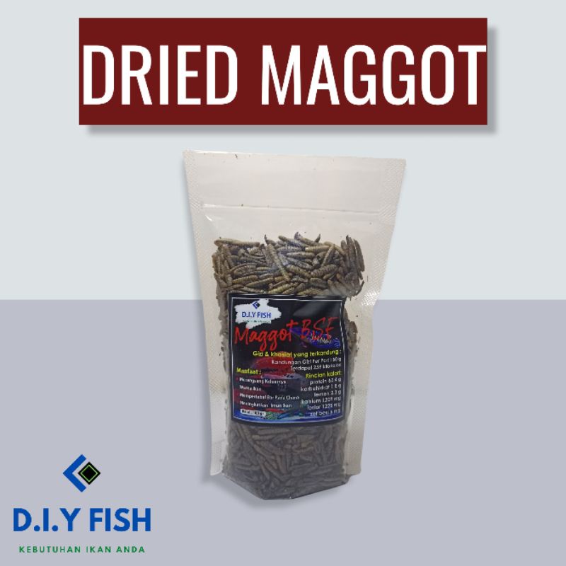 MAGGOT KERING/DRIED MAGGOT 100 GR