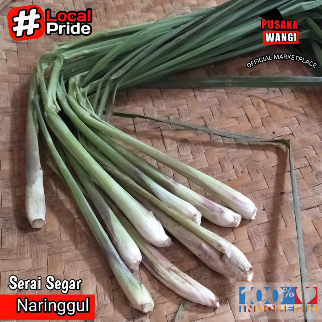 

Batang Serai 1kg Segar Murah Dipanen Dadakan Sereh Asli Fresh