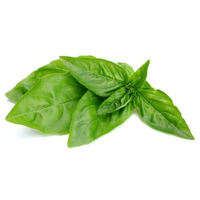 

Sayuran Segar Sayur Daun Kemangi Per Ikat Pasar Segar Depok