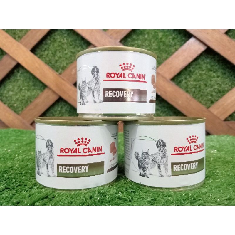 Royal Canin Recovery canine feline 195gr / makanan kaleng anjing kucing