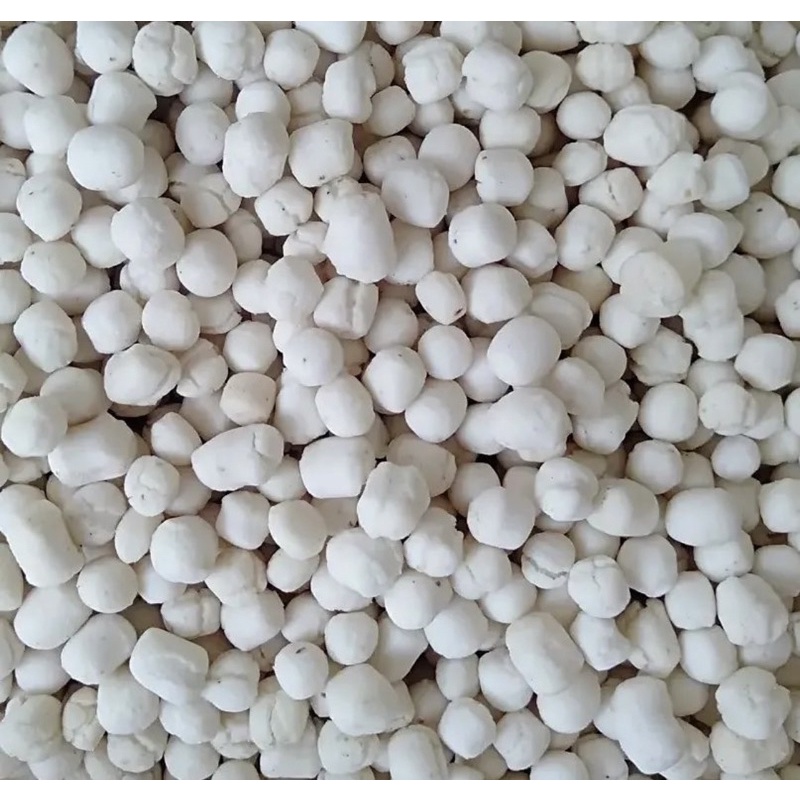 

PILUS KENCUR 250g