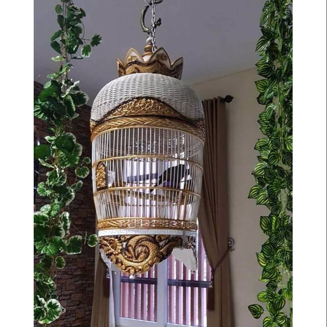 Sangkar burung perkutut ukir naga