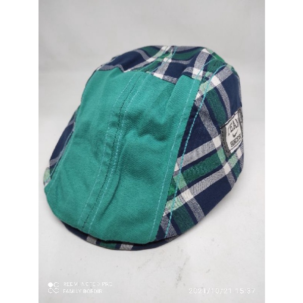 topi pet/kodok/copet/pelukis anak