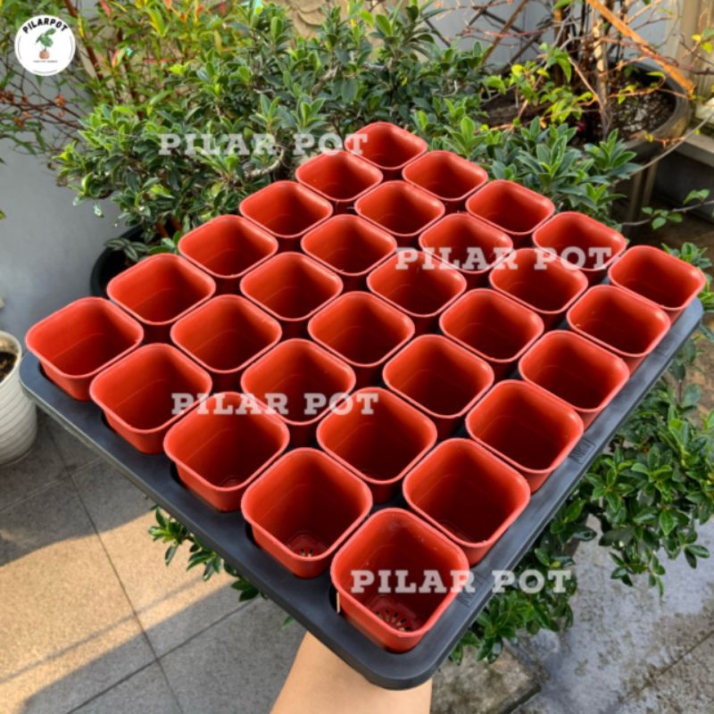 1 SET TRAY LUBANG 30 + POT NKT KOTAK 5CM MERAH BATA 30 PCS | TRAY SEMAI BIBIT