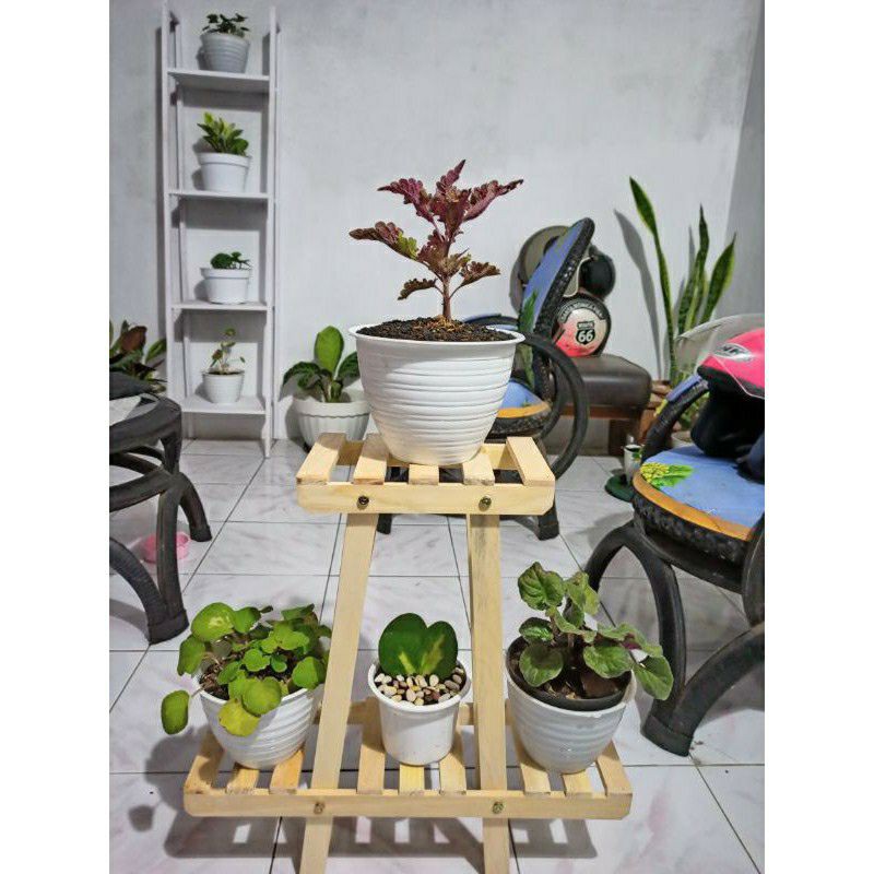 rak bunga wooden/flower shelf