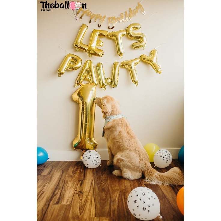 DEKORASI ULANG TAHUN ANJING / DEKORASI ULANG TAHUN